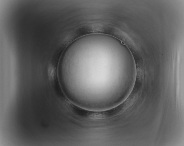 X0000102260123200807251337