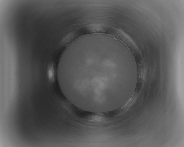 X0000102260124200807251337