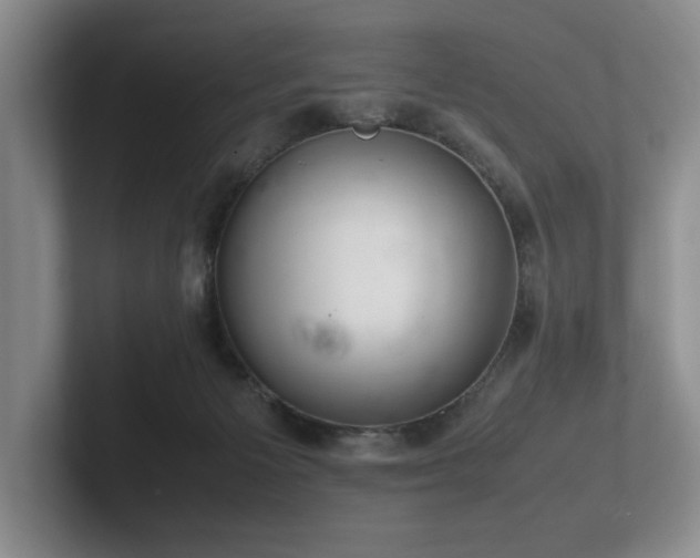 X0000102260125200807251337