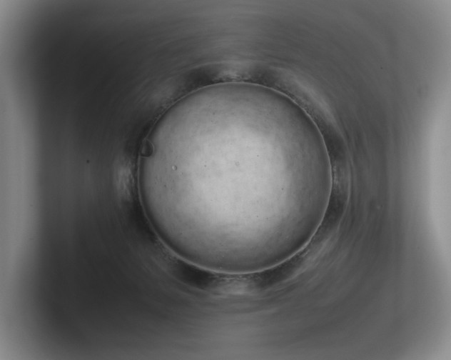 X0000102260127200807251337