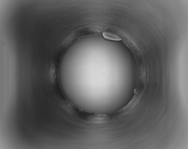 X0000102260128200807251337