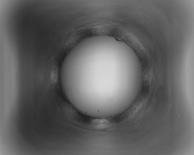 X0000102260133200807251337