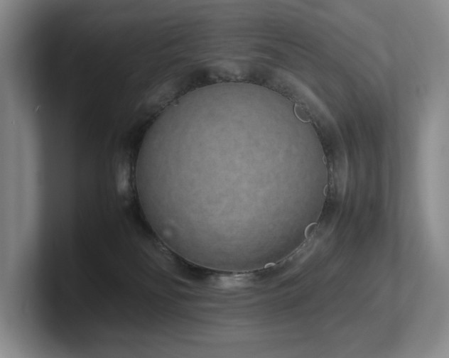 X0000102260134200807251337