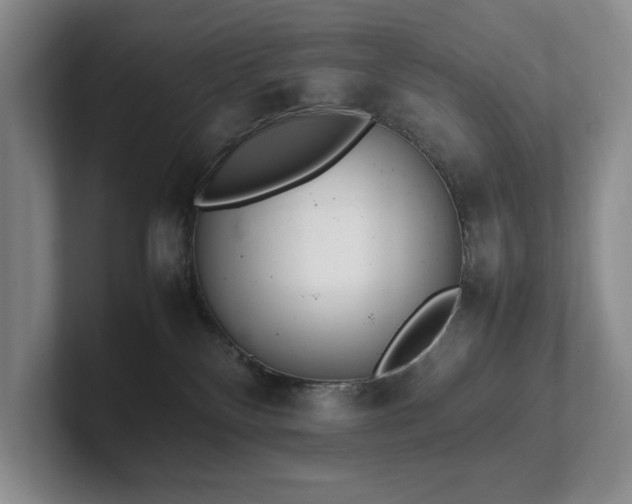 X0000102260136200807251337