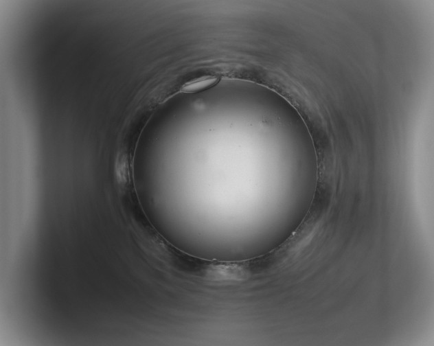 X0000102260137200807251337