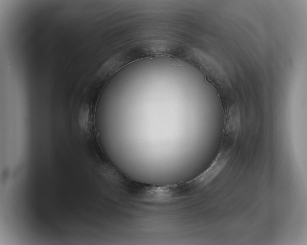 X0000102260140200807251337