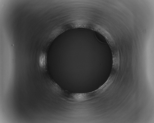 X0000102260142200807251337