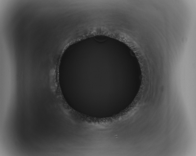 X0000102260144200807251337