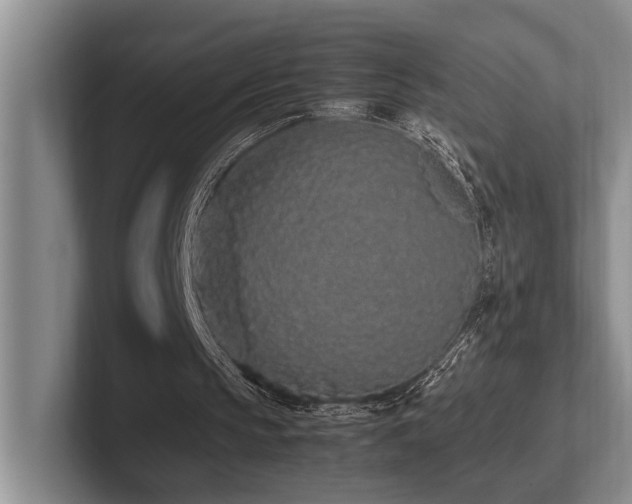 X0000102260145200807251336