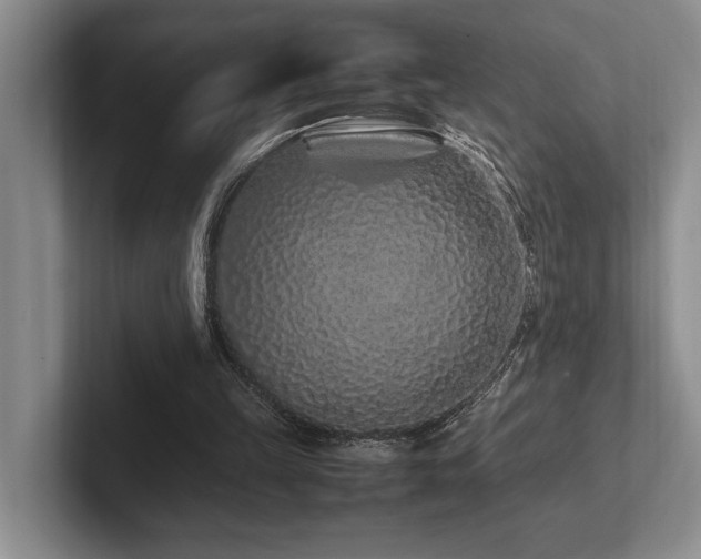 X0000102260149200807251336