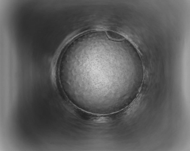 X0000102260151200807251336