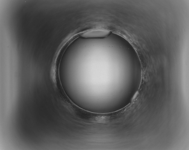 X0000102260152200807251336