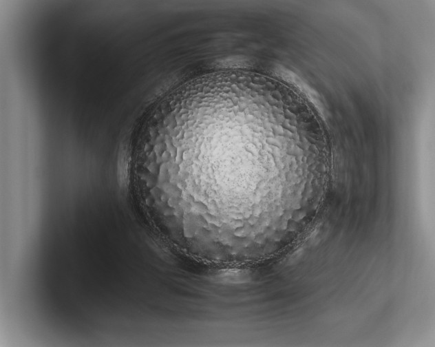 X0000102260153200807251336