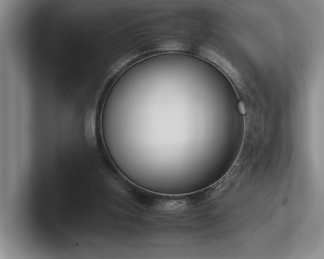 X0000102260155200807251336