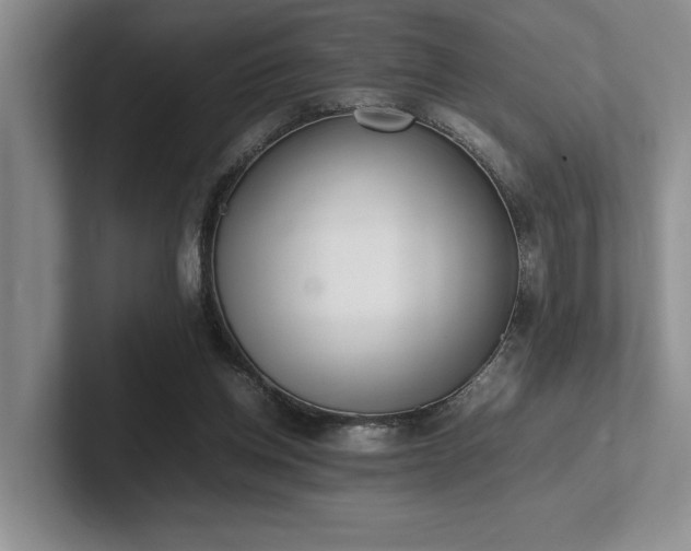 X0000102260158200807251336