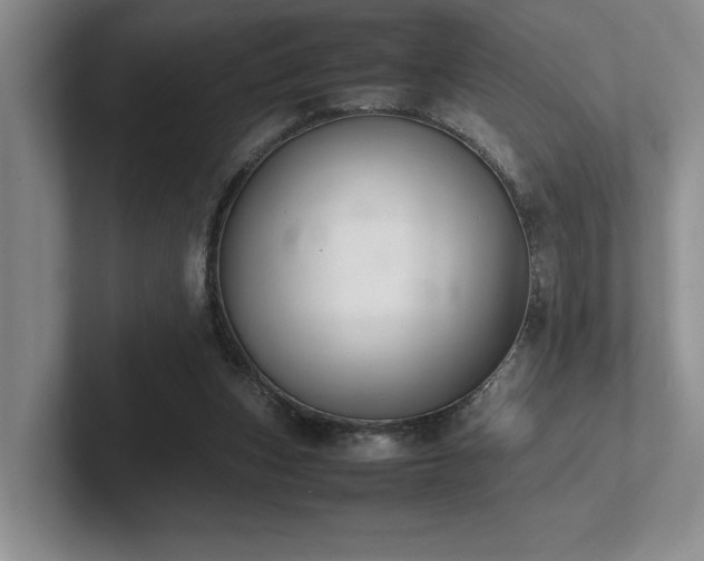 X0000102260159200807251336