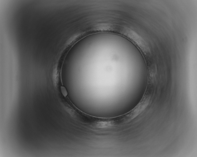 X0000102260160200807251336