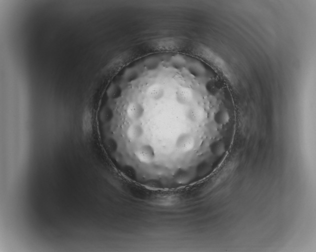 X0000102260161200807251336