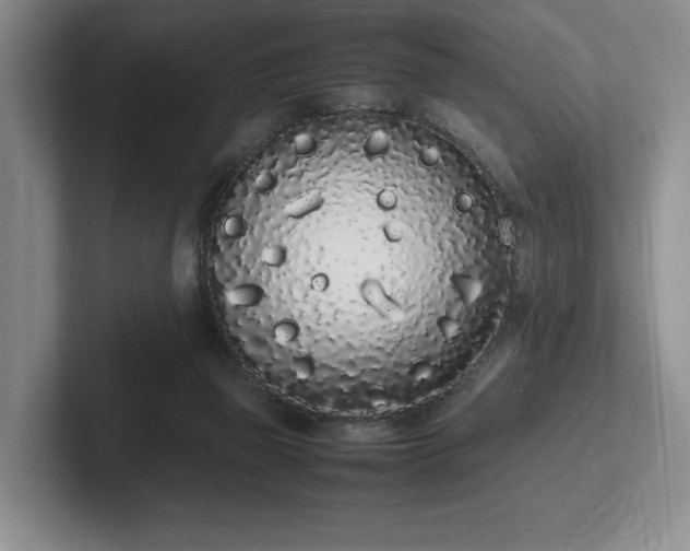 X0000102260165200807251336