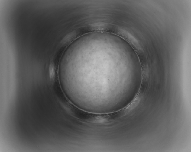 X0000102260166200807251336