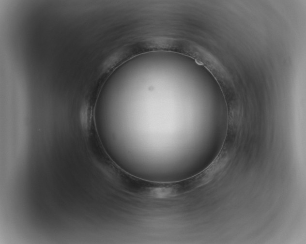 X0000102260168200807251336