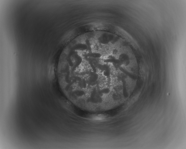 X0000102260169200807251336