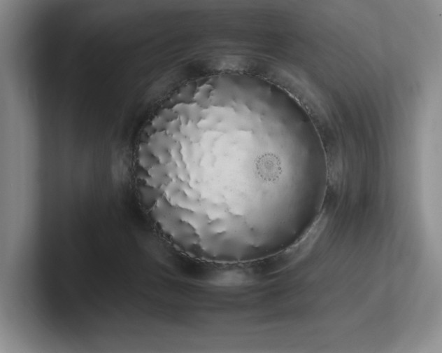 X0000102260175200807251336