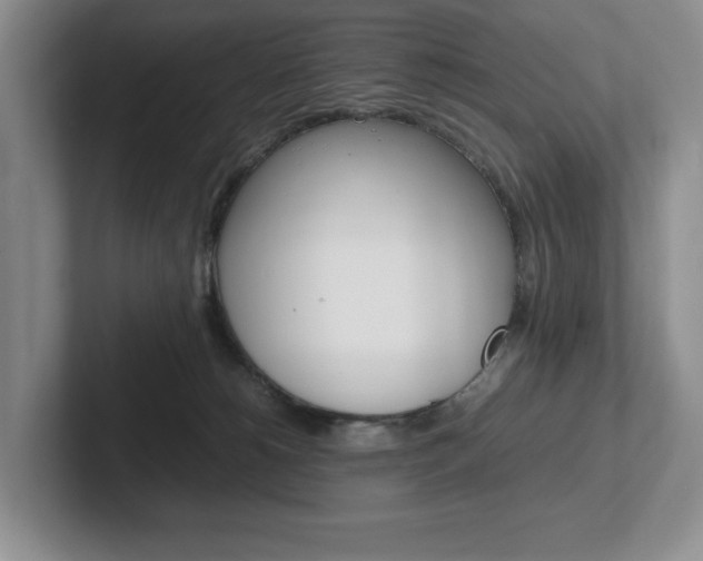 X0000102260180200807251336