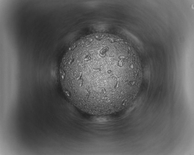 X0000102260181200807251337