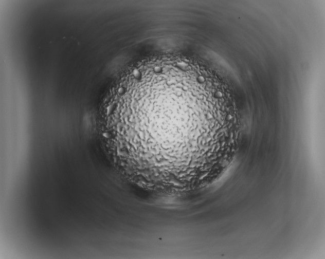 X0000102260182200807251337