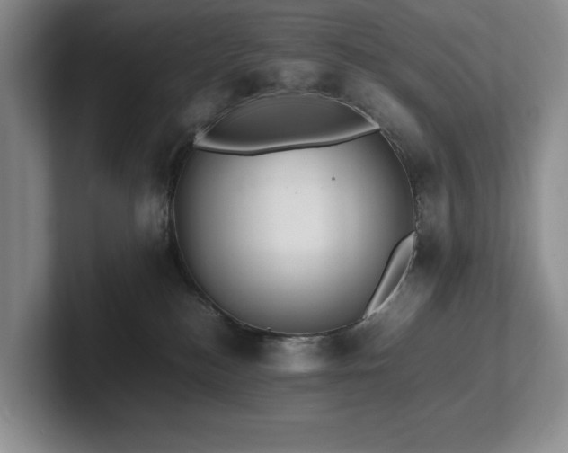 X0000102260184200807251337