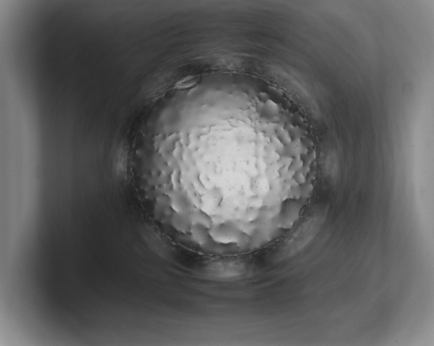 X0000102260185200807251337