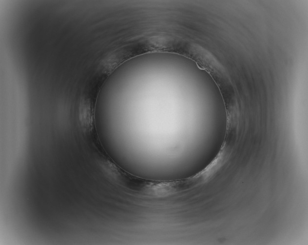 X0000102260186200807251337