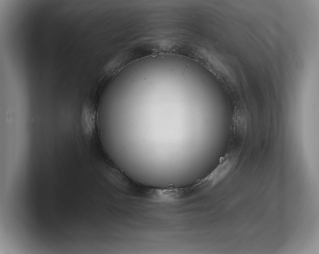 X0000102260188200807251337