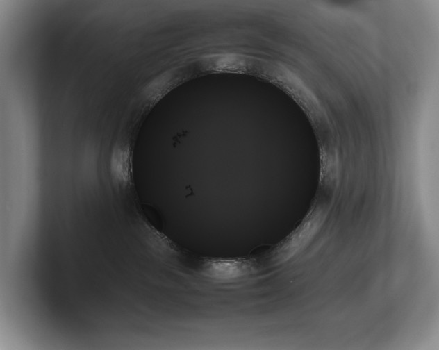 X0000102260189200807251337