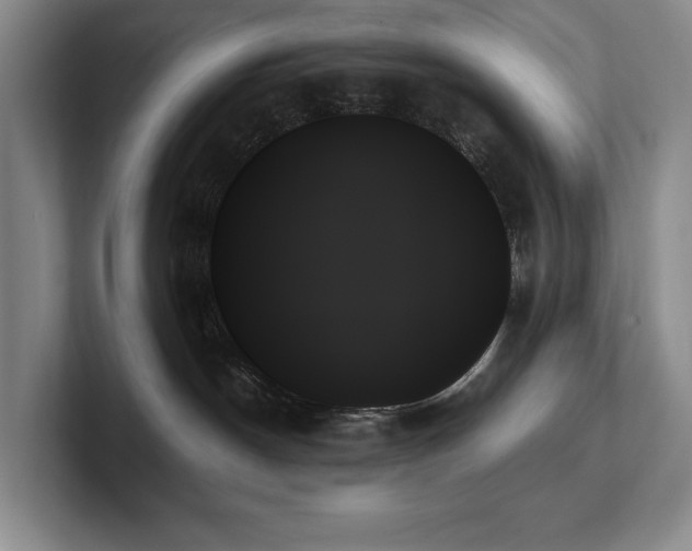 X0000102260190200807251337