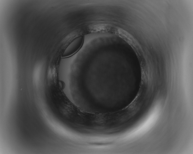 X0000102260191200807251337