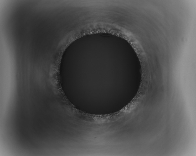 X0000102260192200807251337