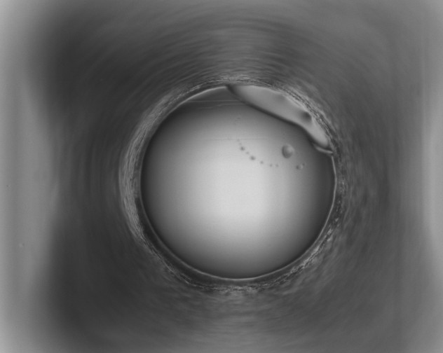 X0000102260193200807251336