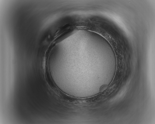 X0000102260194200807251336