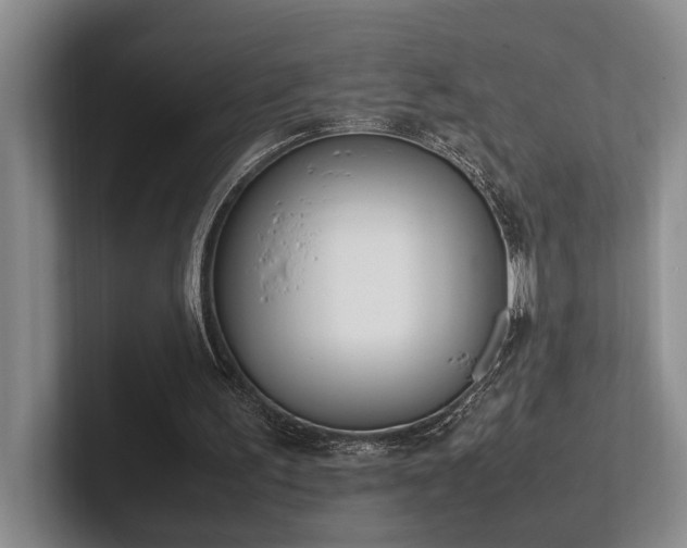 X0000102260195200807251336