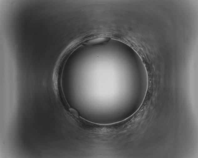 X0000102260197200807251336