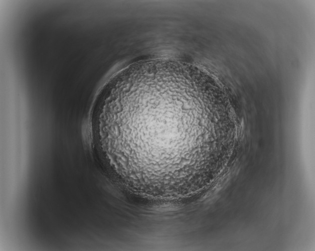 X0000102260198200807251336