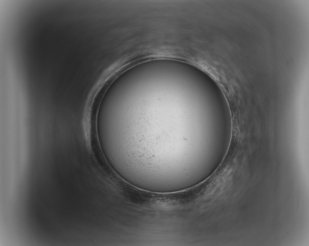 X0000102260199200807251336