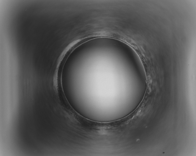 X0000102260200200807251336