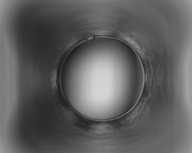 X0000102260201200807251336