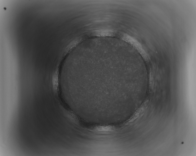 X0000102260202200807251336