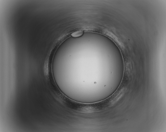 X0000102260203200807251336