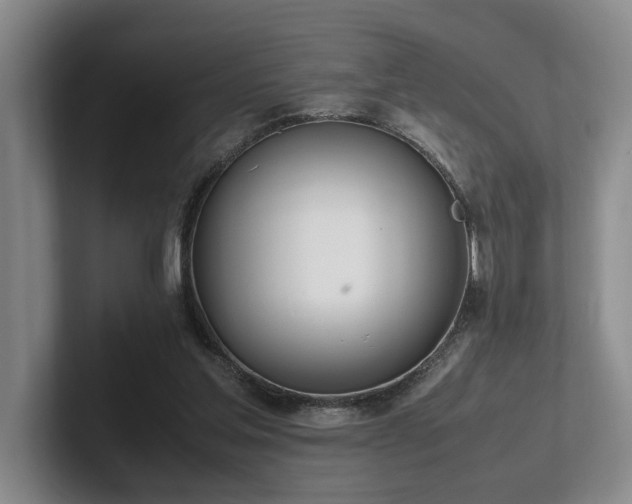 X0000102260205200807251336