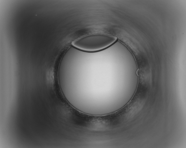 X0000102260207200807251336